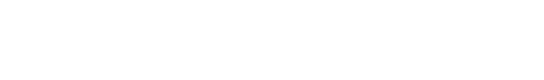 Slide 03